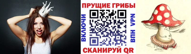 Галлюциногенные грибы ЛСД  где купить наркоту  Куртамыш 